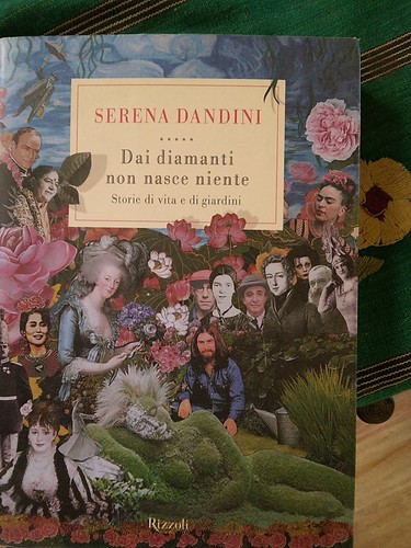 Serena dandini dai diamanti - dandini,