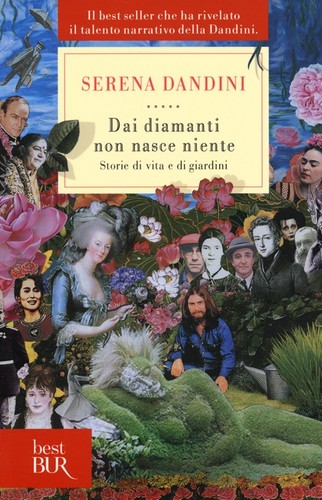 Dai diamanti non nasce niente