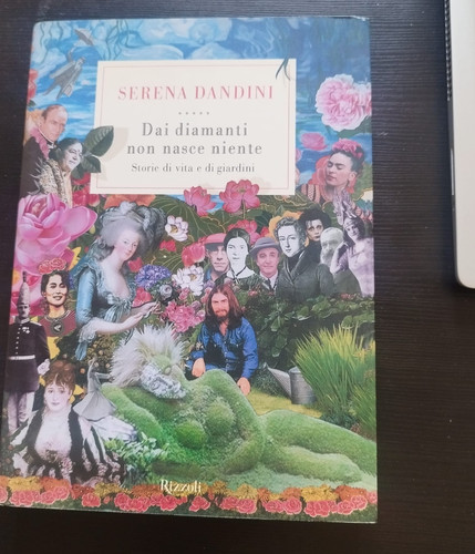Serena dandini dai diamanti - dandini,